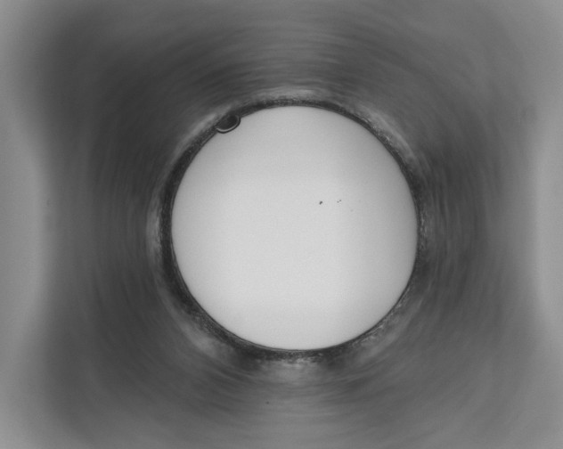 X0000111610112200908071338