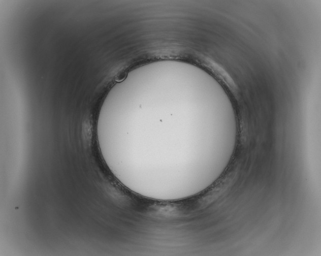 X0000111610113200908071338