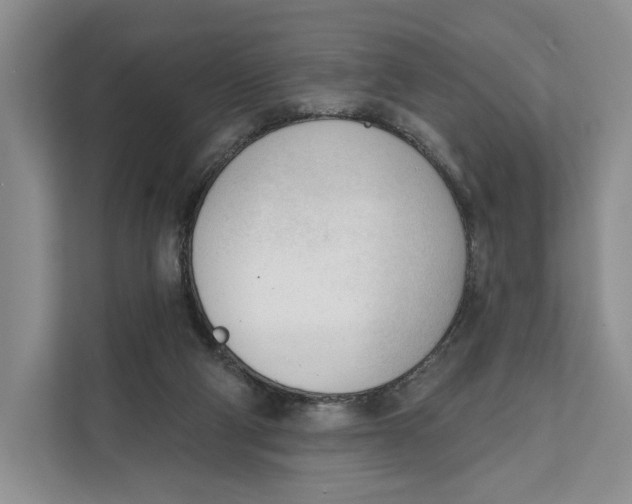 X0000111610114200908071338