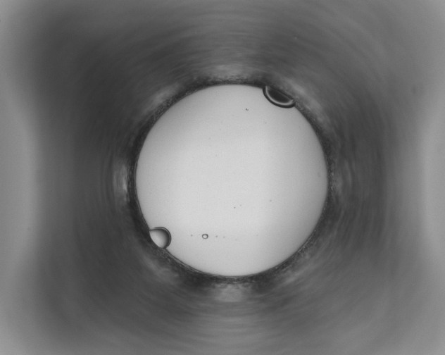 X0000111610115200908071338
