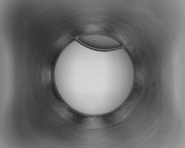 X0000111610117200908071338