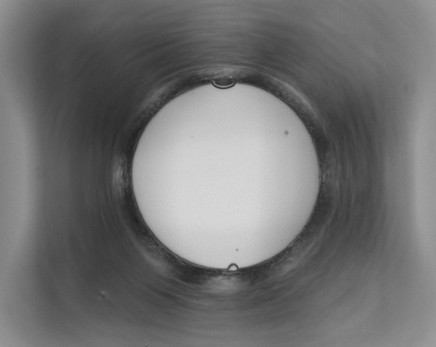 X0000111610119200908071338