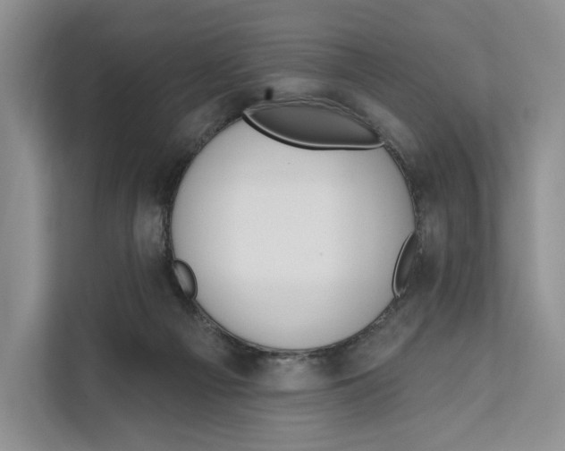 X0000111610121200908071338