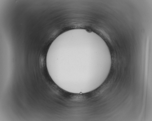 X0000111610123200908071338