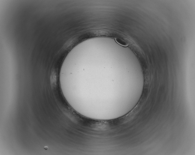 X0000111610124200908071338