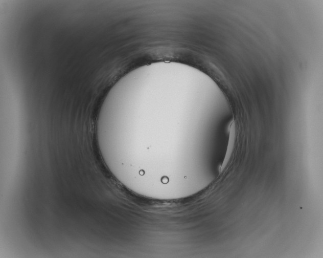 X0000111610125200908071338