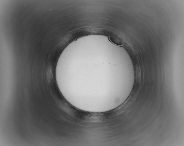 X0000111610128200908071338