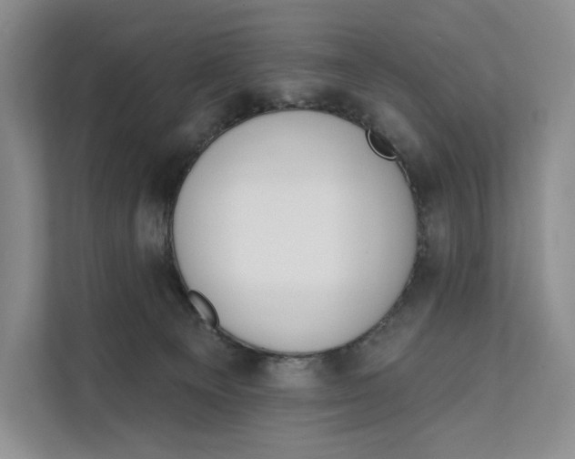 X0000111610129200908071338