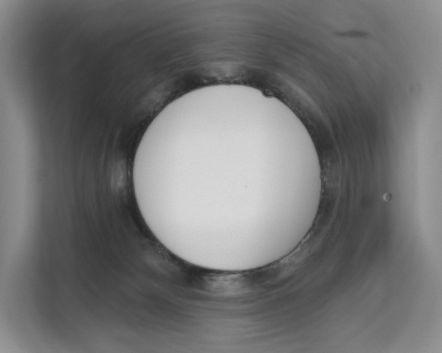 X0000111610132200908071338