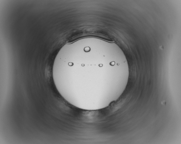 X0000111610135200908071338
