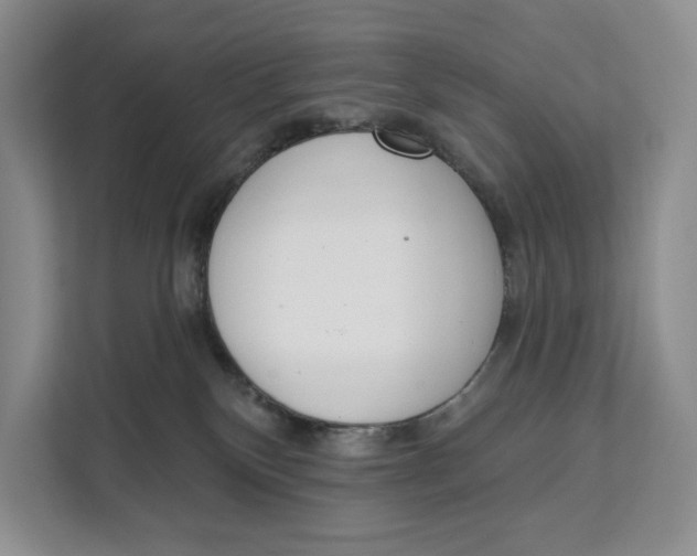 X0000111610136200908071338