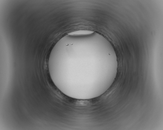 X0000111610137200908071338