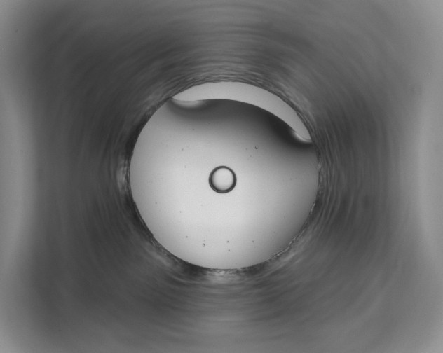 X0000111610141200908071338