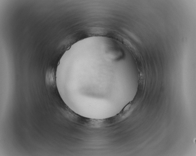 X0000111610143200908071338