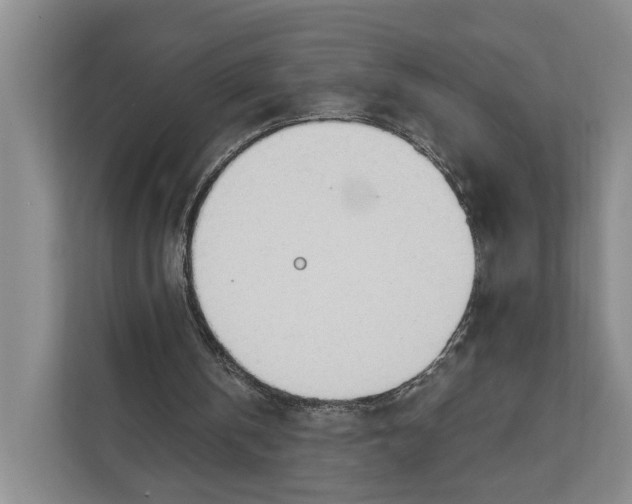 X0000111610146200908071337