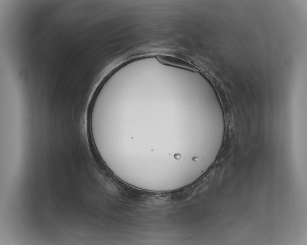 X0000111610148200908071337