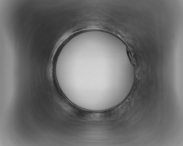 X0000111610152200908071337