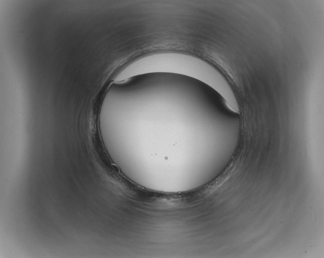 X0000111610164200908071338