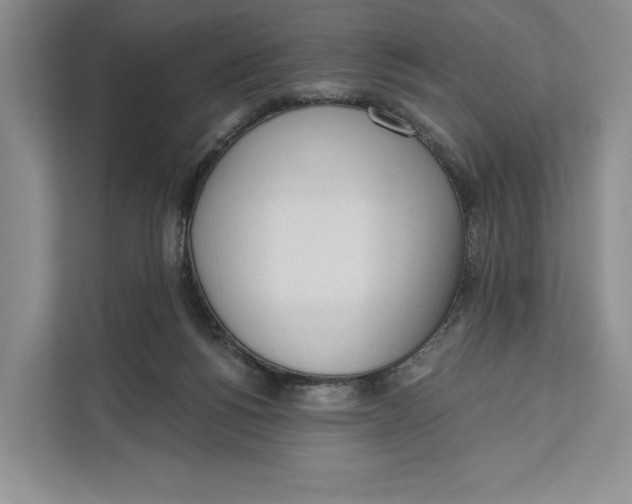 X0000111610168200908071338