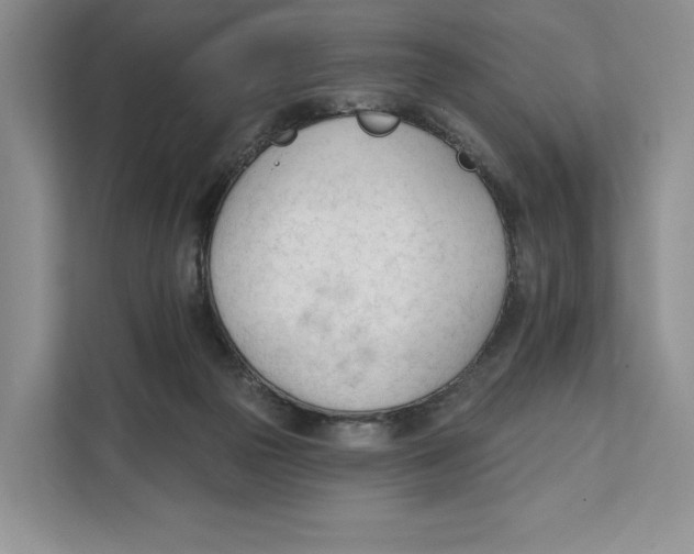X0000111610169200908071338