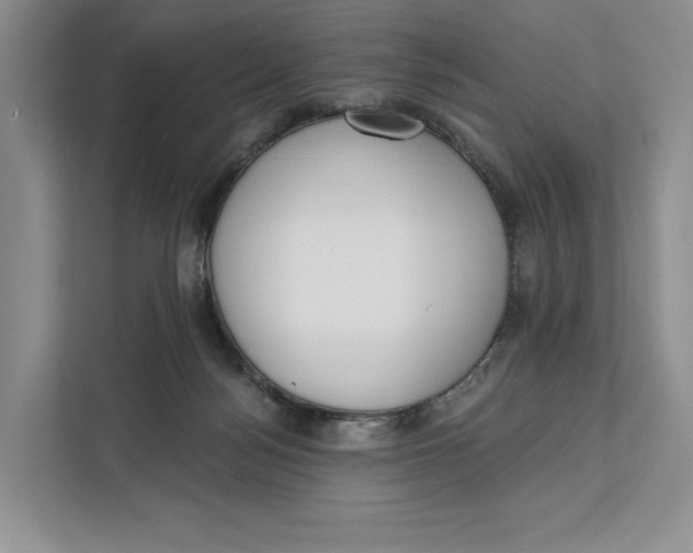 X0000111610172200908071338