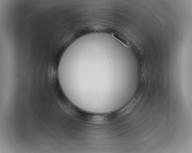 X0000111610176200908071338