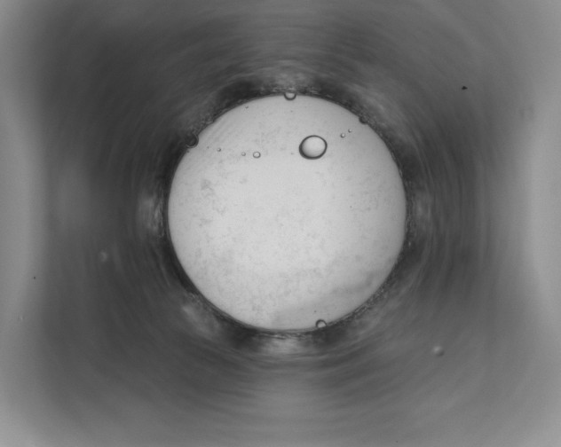X0000111610177200908071338