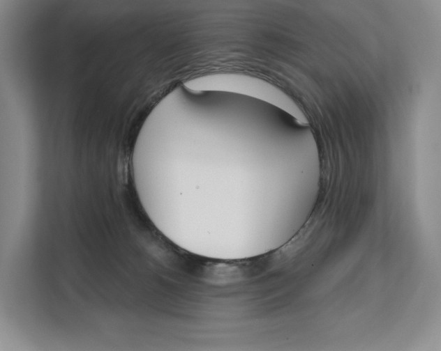 X0000111610180200908071338