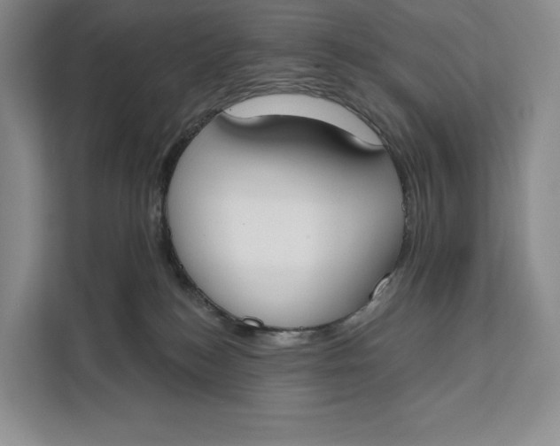 X0000111610184200908071338