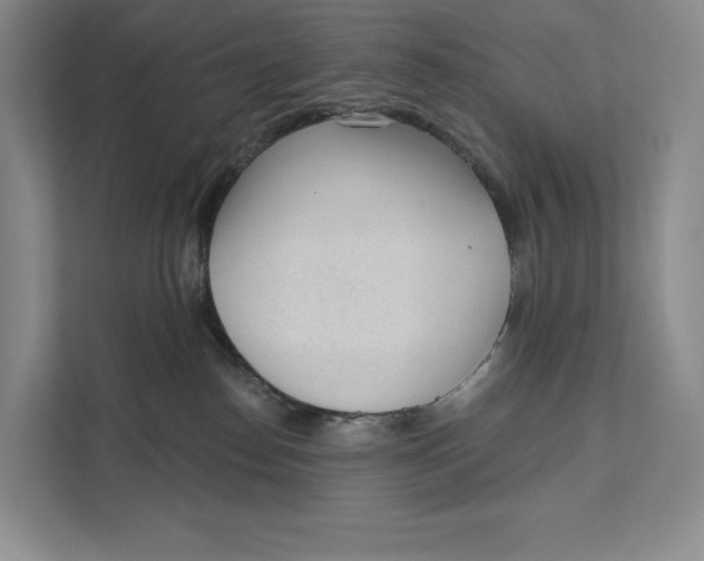 X0000111610186200908071338