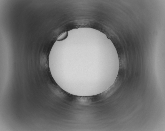 X0000111610187200908071338