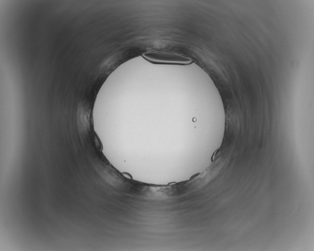 X0000111610188200908071338