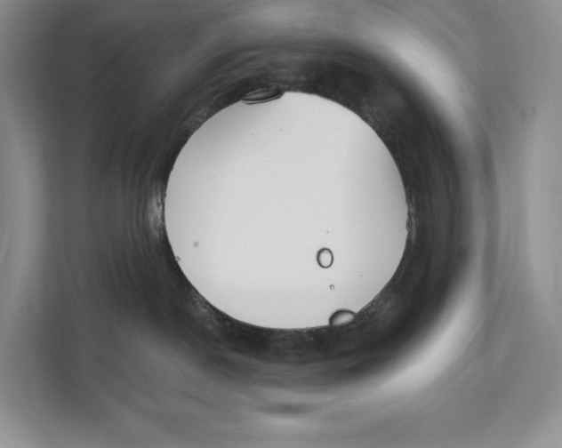 X0000111610190200908071338