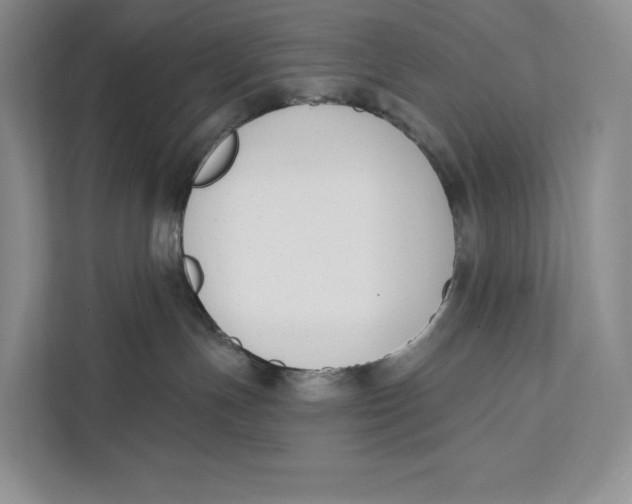 X0000111610191200908071338