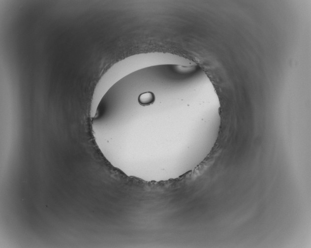 X0000111610192200908071338