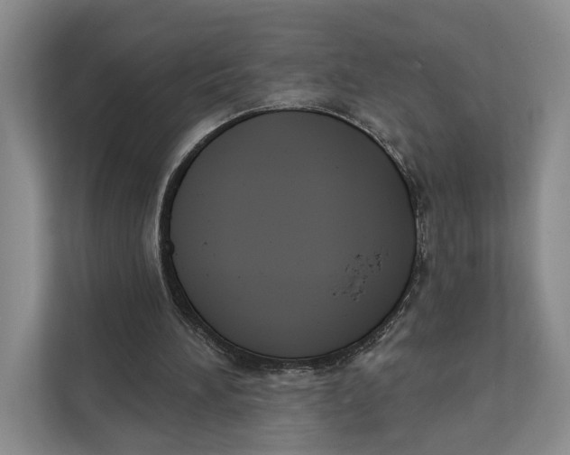 X0000111610196200908071337