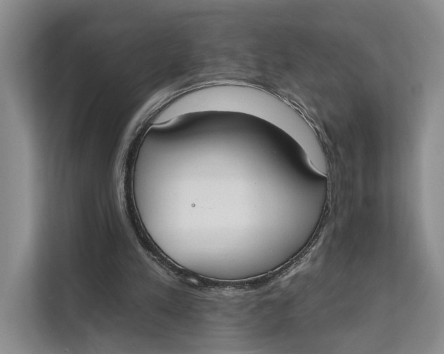 X0000111610197200908071337