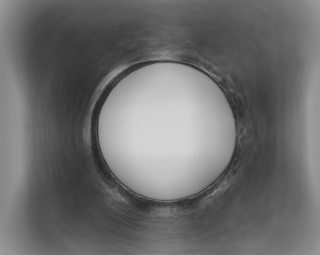 X0000111610200200908071337