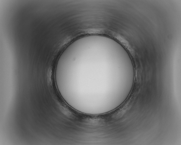 X0000111610201200908071337