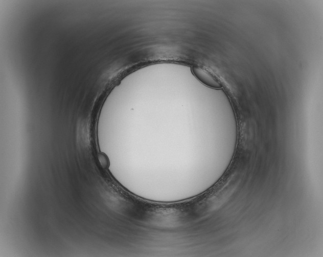 X0000111610203200908071337
