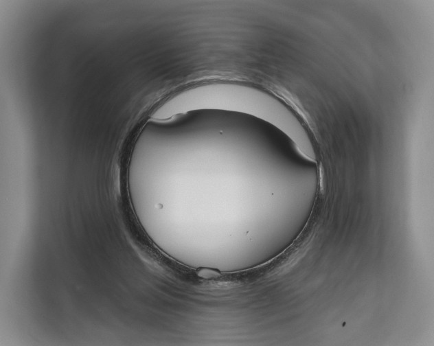 X0000111610205200908071337