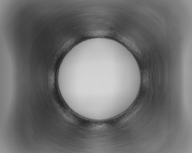 X0000111610206200908071337