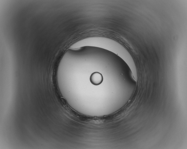 X0000111610217200908071337