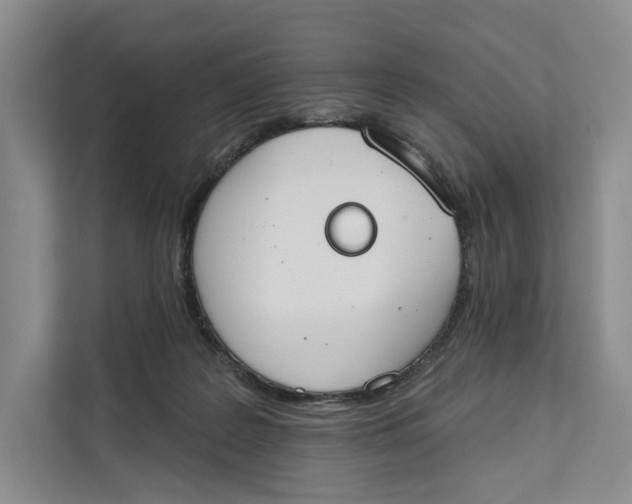 X0000111610219200908071337