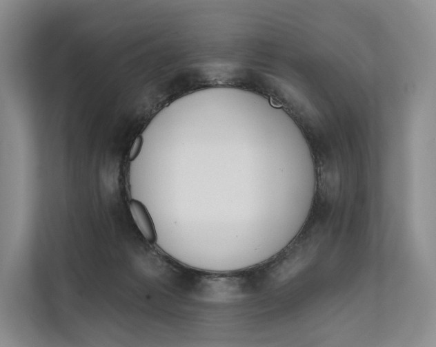 X0000111610221200908071337
