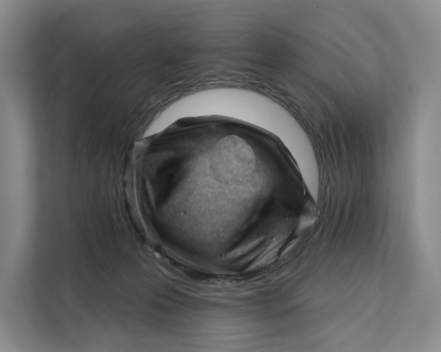 X0000111610223200908071337