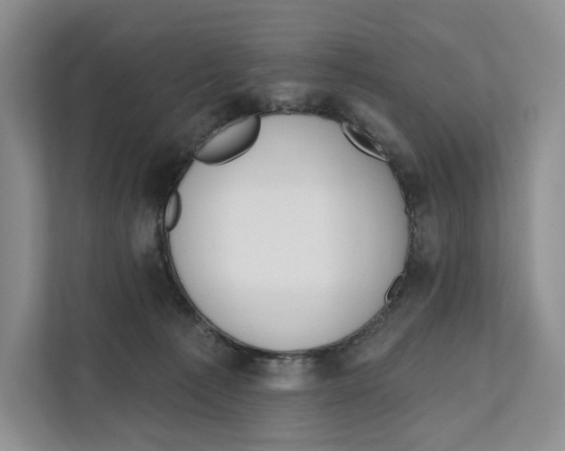X0000111610225200908071337
