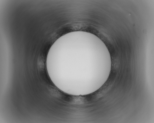 X0000111610226200908071337
