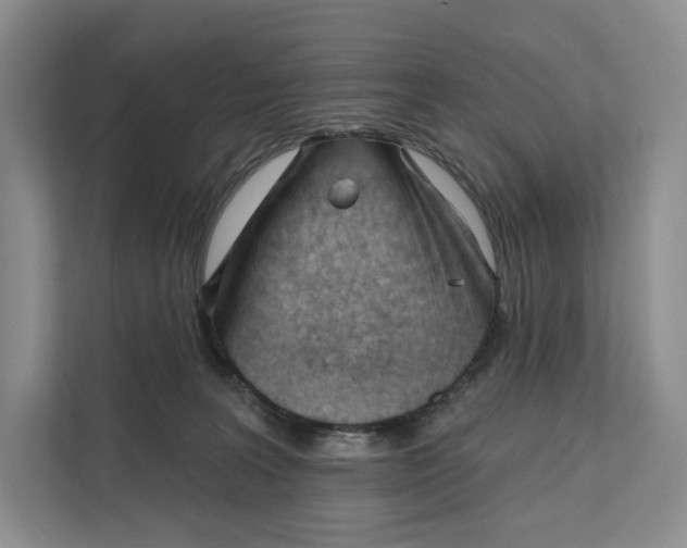 X0000111610227200908071337
