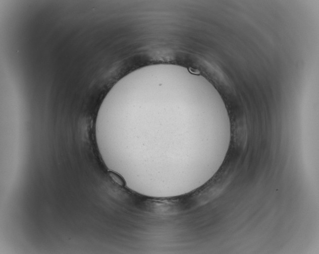X0000111610229200908071337